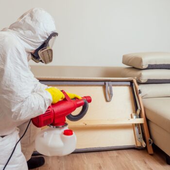 pest control worker in uniform spraying pesticides under couch in living lounge room.